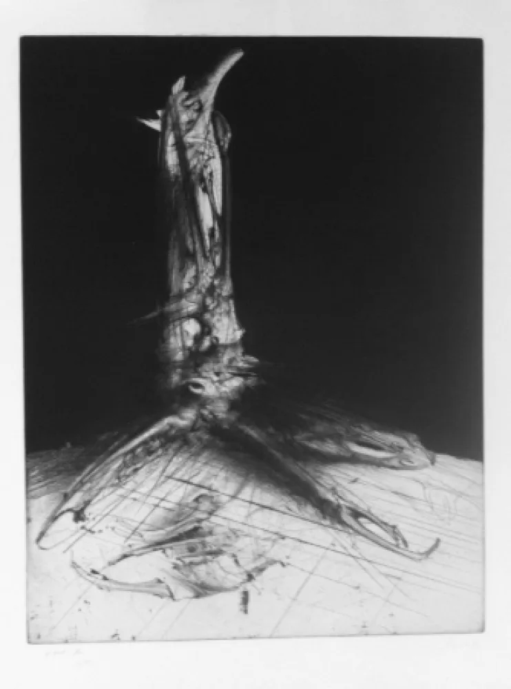 Etching Dado - Sans titre