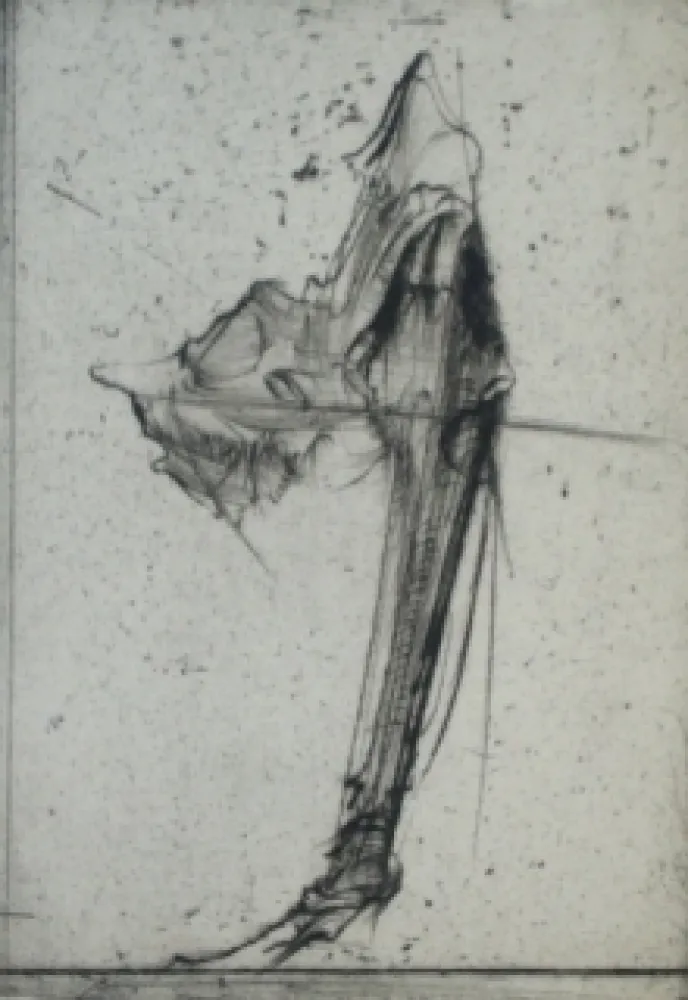 Engraving Dado - Sans titre