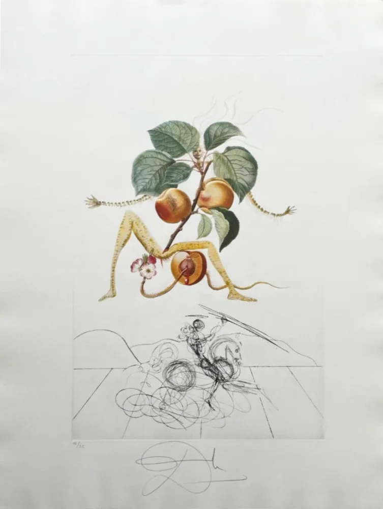 Lithograph Dali - Abricot chevalier (Apricot Knight)