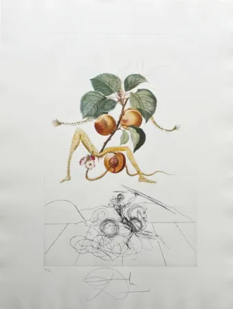 Lithograph Dali - Abricot chevalier (Apricot Knight)