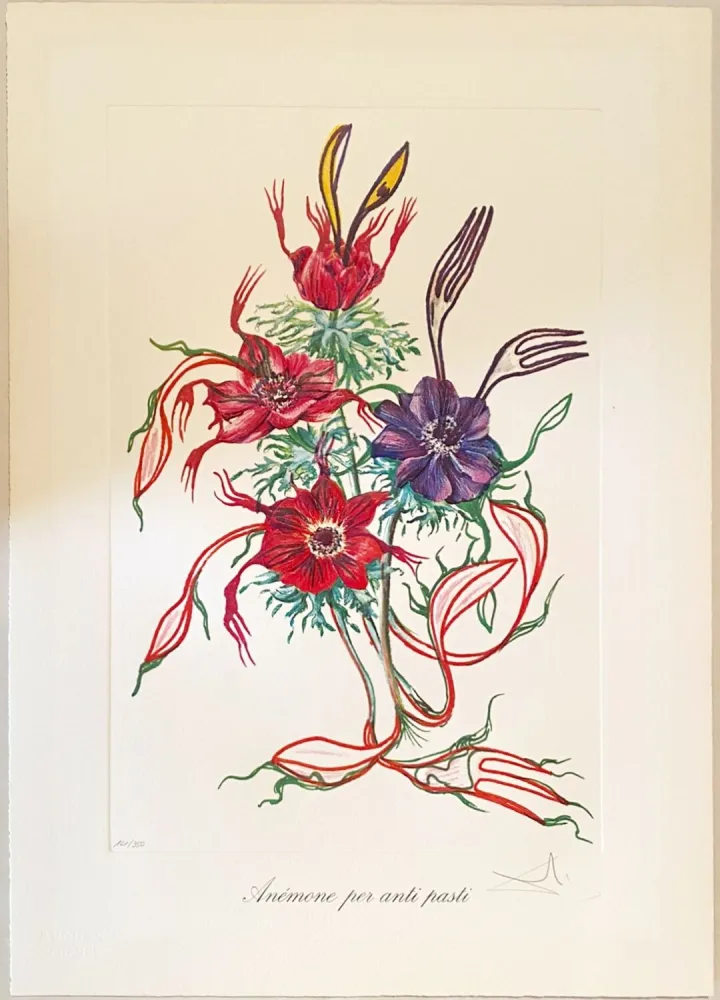 Drypoint Dali - Anemone per anti-pasti