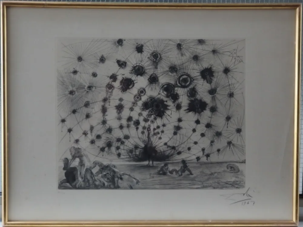 Etching And Aquatint Dali - Argus