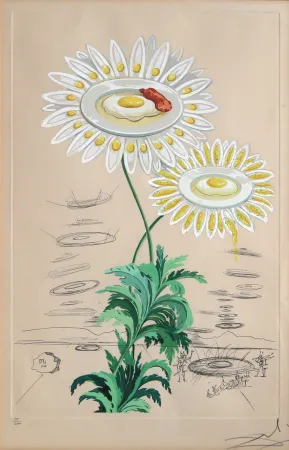 Etching Dali - Chrysanthemum Frutescens