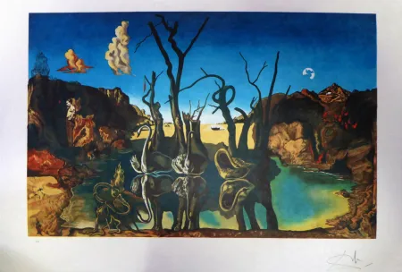 Lithograph Dali -   