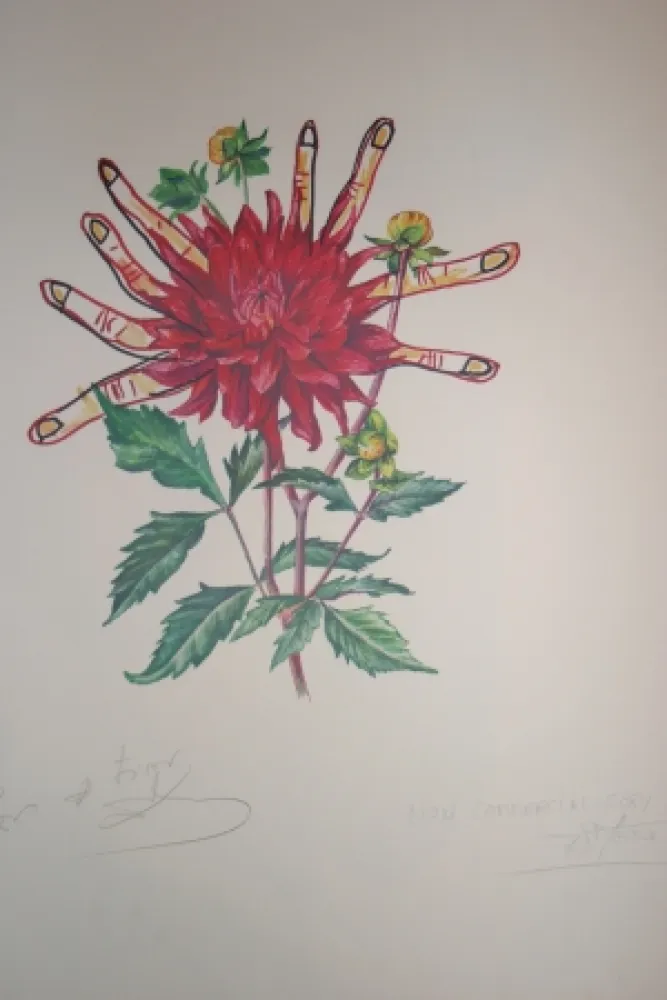 Lithograph Dali - Dahlias of Dalí (surrealistic flowers)
