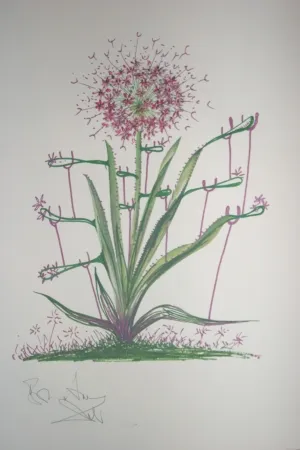 Lithograph Dali -  Desert Cactus (surrealistic flowers)