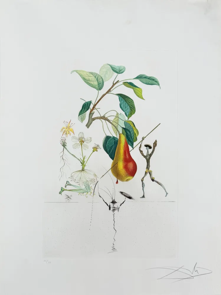 Lithograph Dali - Don Quixote Pear from Flordali suite