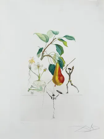 Lithograph Dali - Don Quixote Pear from Flordali suite
