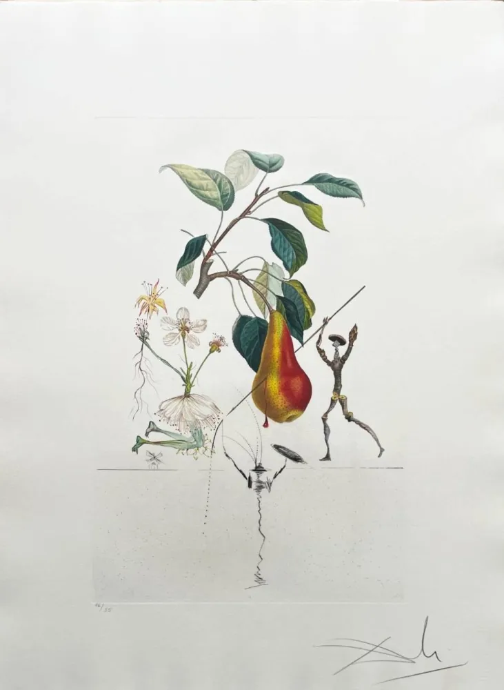 Lithograph Dali - Don Quixote Pear from Flordali suite