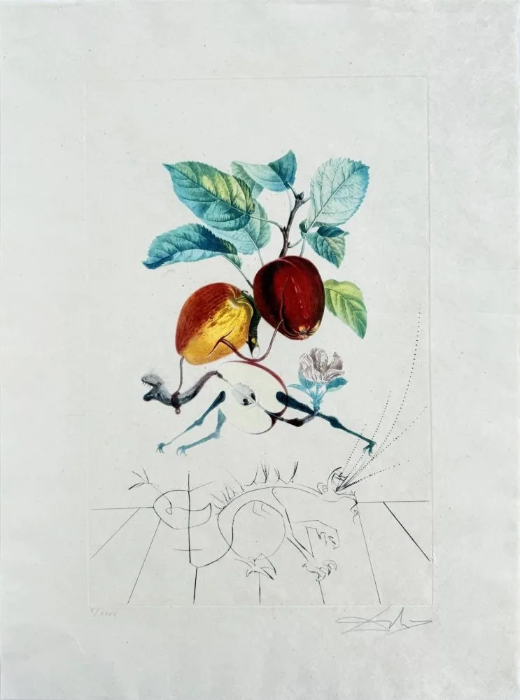 Lithograph Dali - Dragon Apple from Flordali suite