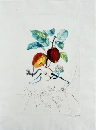 Lithograph Dali - Dragon Apple from Flordali suite
