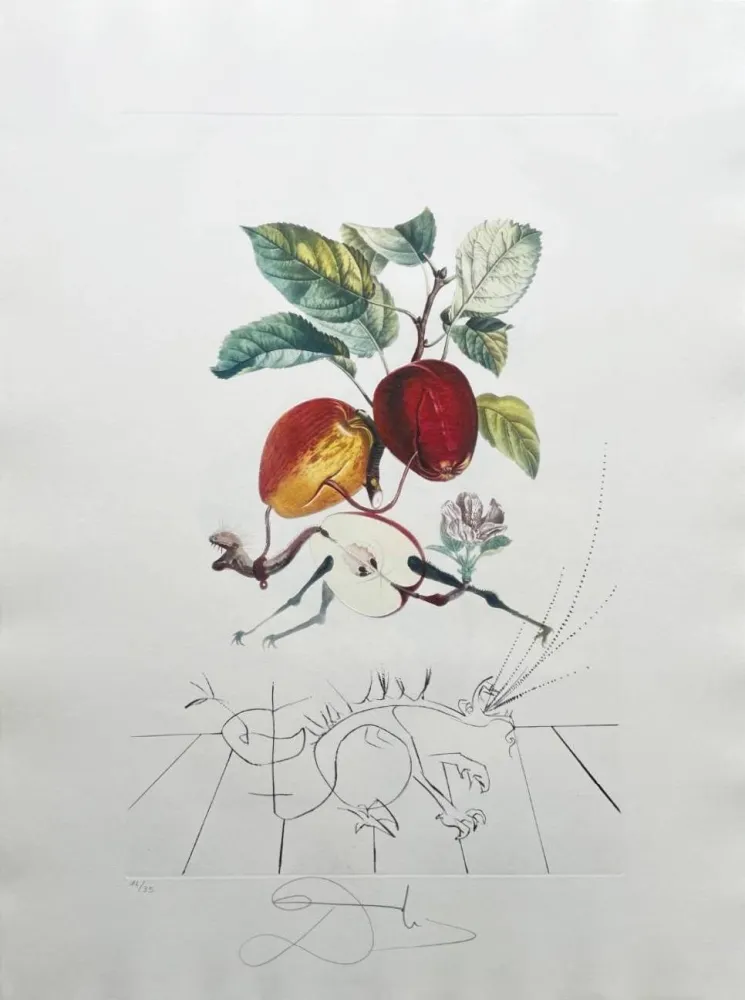 Lithograph Dali - Dragon Apple from Flordali suite