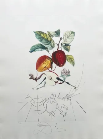 Lithograph Dali - Dragon Apple from Flordali suite