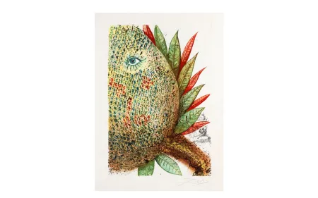 Etching And Aquatint Dali - FLEURS RÊVÉES. Portfolio complet. 7 estampes (1970)