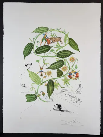Etching Dali - Flora Dalinae Passionflower