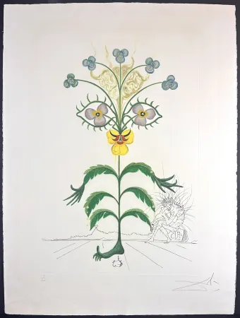 Etching Dali - Flora Dalinae Viola Cogitans/Self-Portrait Pansy