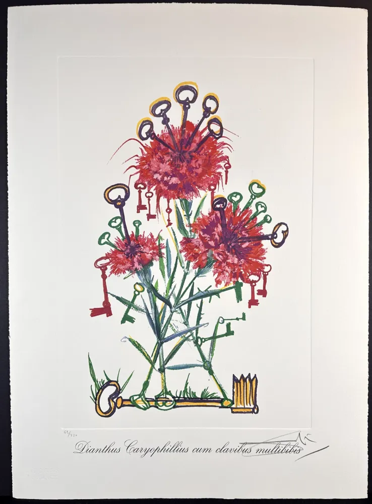 Etching Dali - Florals Carnation Keys