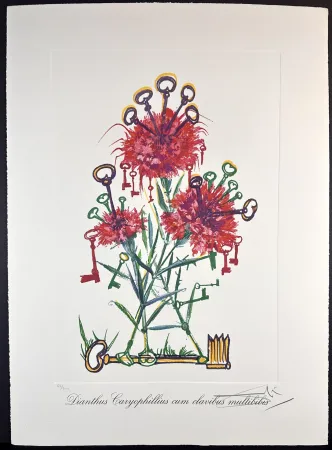 Etching Dali - Florals Carnation Keys