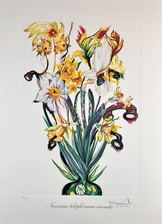 Etching Dali - Florals Daffodils of Love