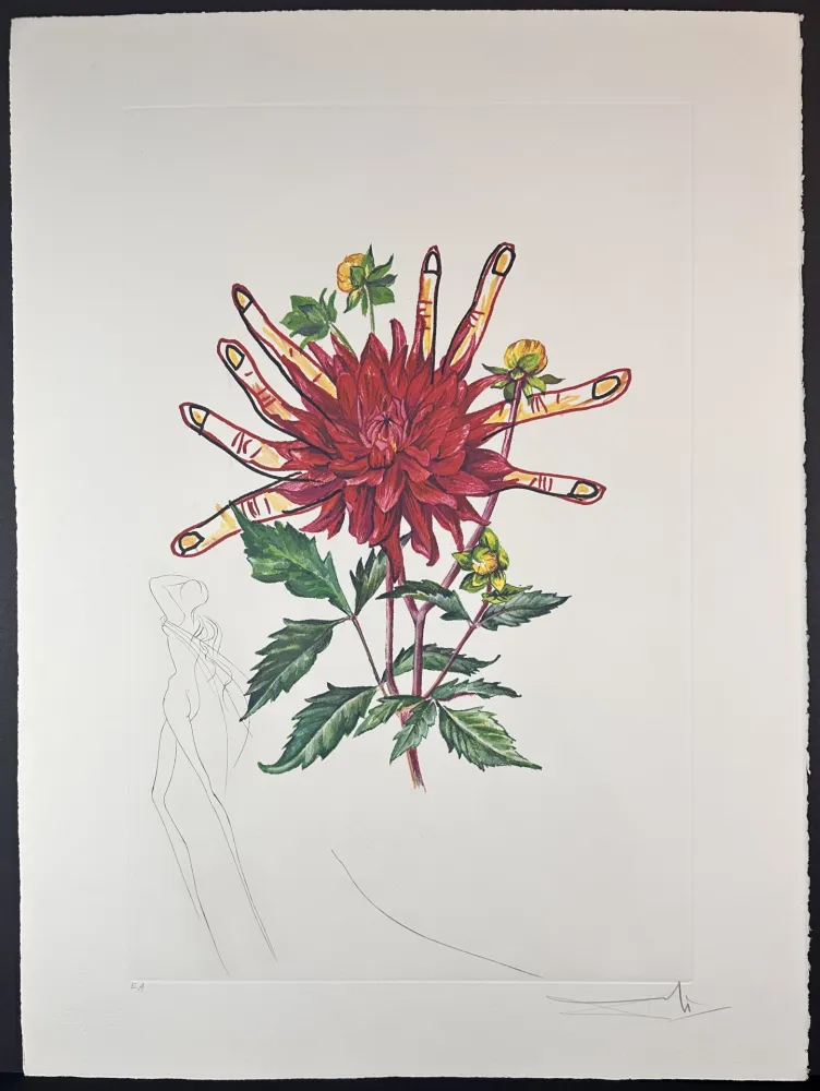 Etching Dali - Florals Dahlia (+ Fingers) Venus