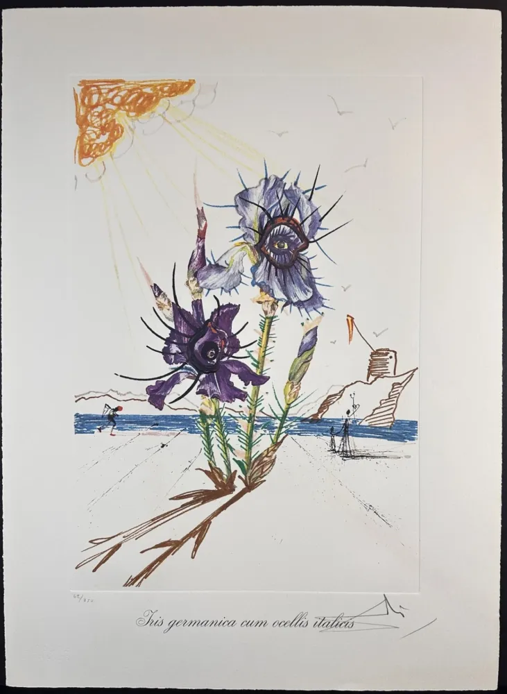 Lithograph Dali - Florals Iris of Dali's Youth