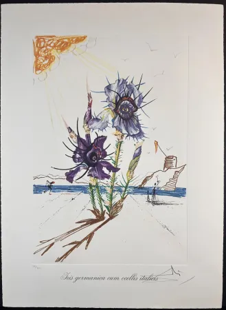 Lithograph Dali - Florals Iris of Dali's Youth