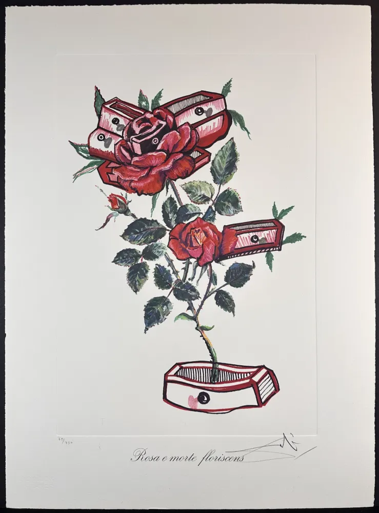 Etching Dali - Florals Roses of Memory