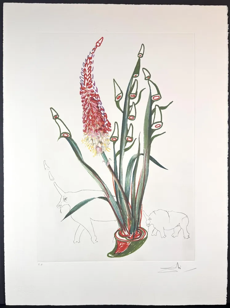 Etching Dali - Florals Stock Rhinos