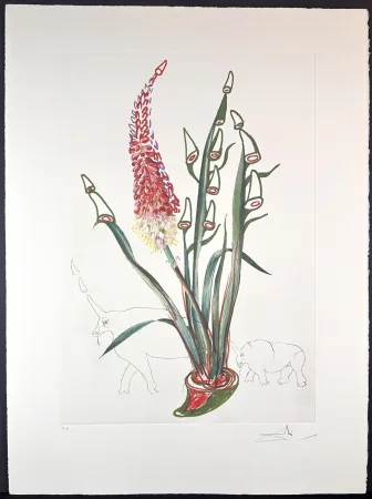 Etching Dali - Florals Stock Rhinos