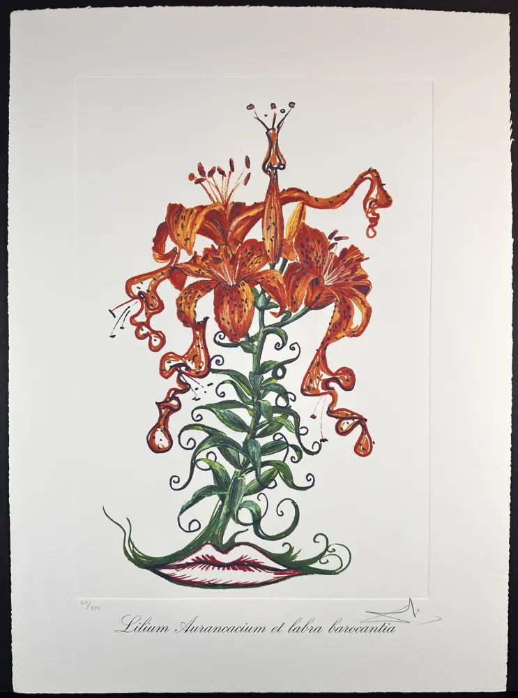 Etching Dali - Florals Tiger Lilies of The Theatre