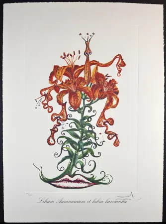 Etching Dali - Florals Tiger Lilies of The Theatre
