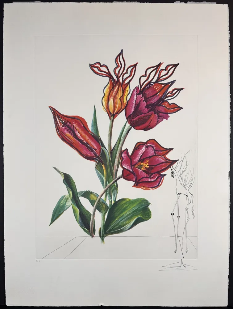 Etching Dali - Florals Tulips Girafe en Feu