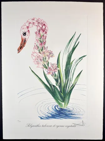 Etching Dali - Florals Water-Hybiscus Swan