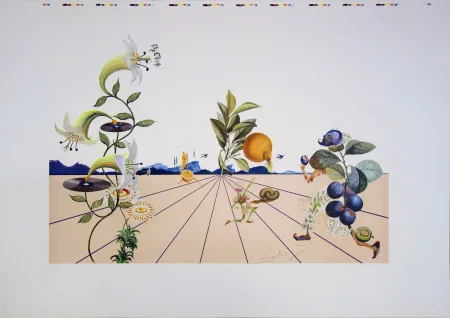 Lithograph Dali - Flordali