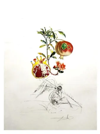 Etching Dali - Flordali - Grenade et l'Ange