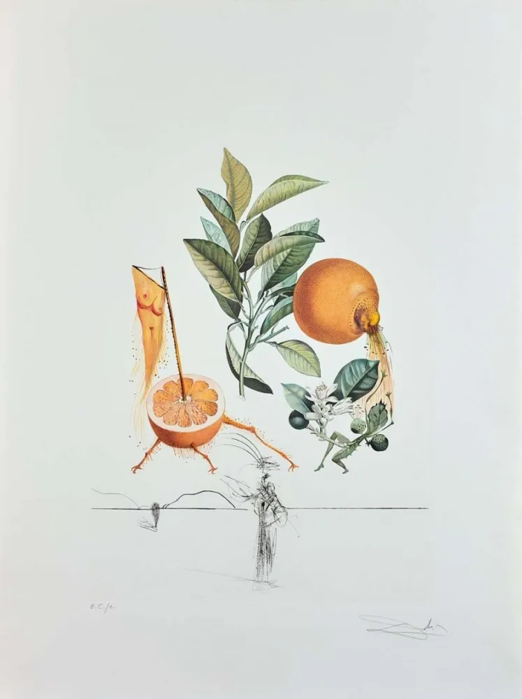Etching Dali - Flordali - Pamplemousse Erotique