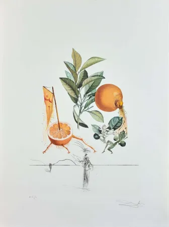 Etching Dali - Flordali - Pamplemousse Erotique