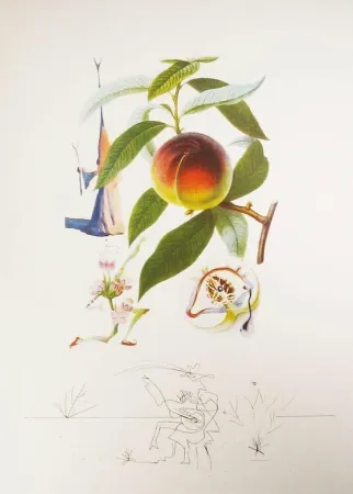 Etching Dali - Flordali - Pêcher Pénitent