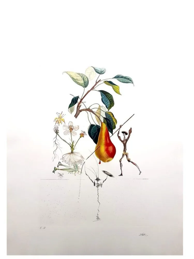 Etching Dali - Flordali - Poire Don Quixote