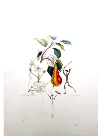 Etching Dali - Flordali - Poire Don Quixote