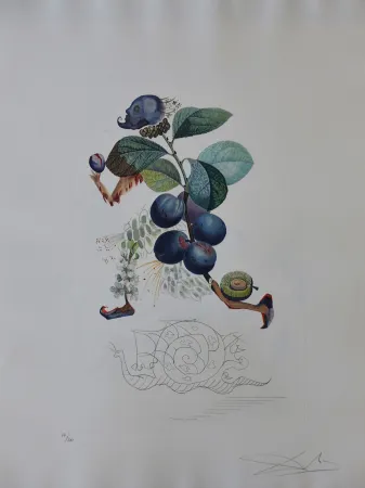 Etching Dali - Flordali - Prunier Hatif