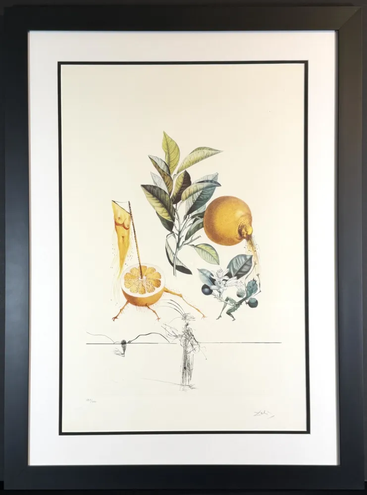 Etching Dali - FlorDali/Les Fruits Grapefruit