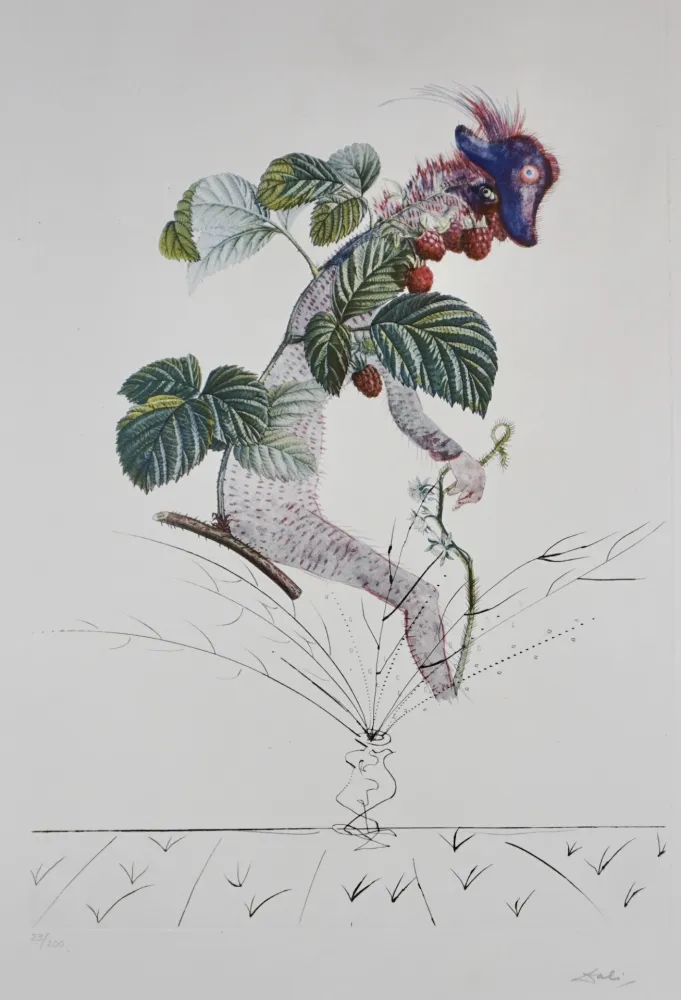 Etching Dali - FlorDali/Les Fruits Raspberry