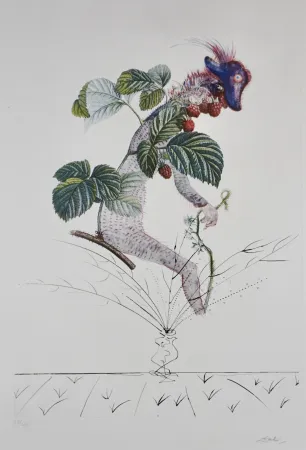 Etching Dali - FlorDali/Les Fruits Raspberry