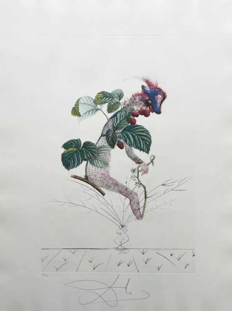 Lithograph Dali - Framboisier (Raspberry Bush)
