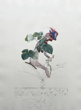 Lithograph Dali - Framboisier (Raspberry Bush)
