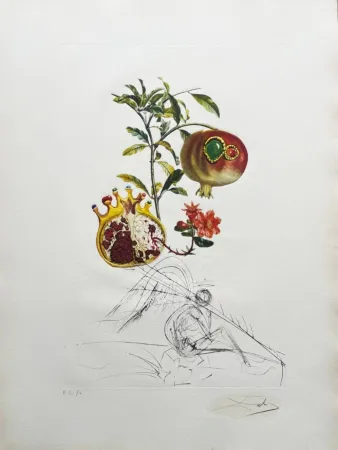 Lithograph Dali - Grenade et l’ange (Pomegranate and Angel)