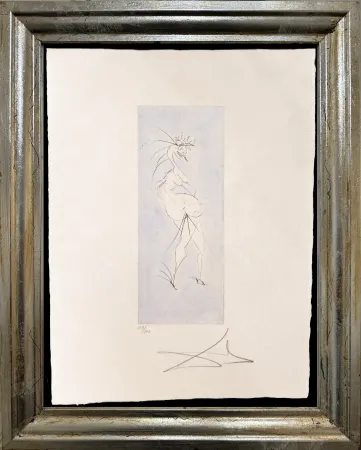 No Technical Dali - Grotesque