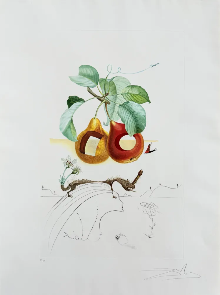 Lithograph Dali - Holed Fruit from Flordali suite