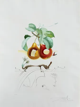 Lithograph Dali - Holed Fruit from Flordali suite